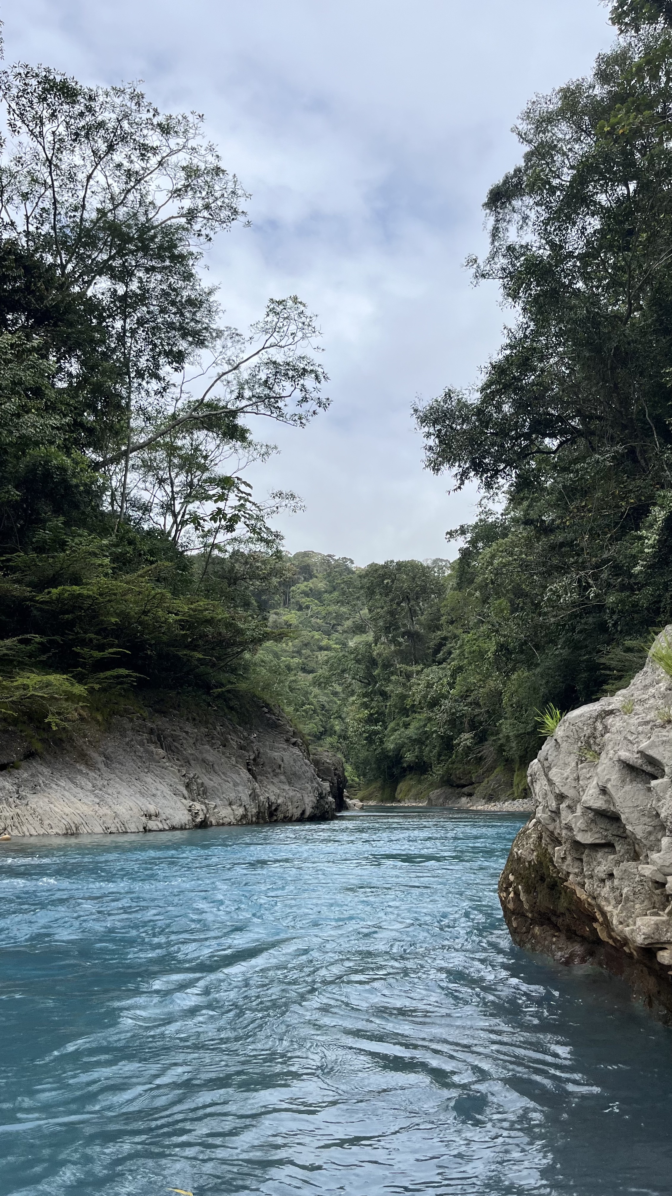 Galería del tour