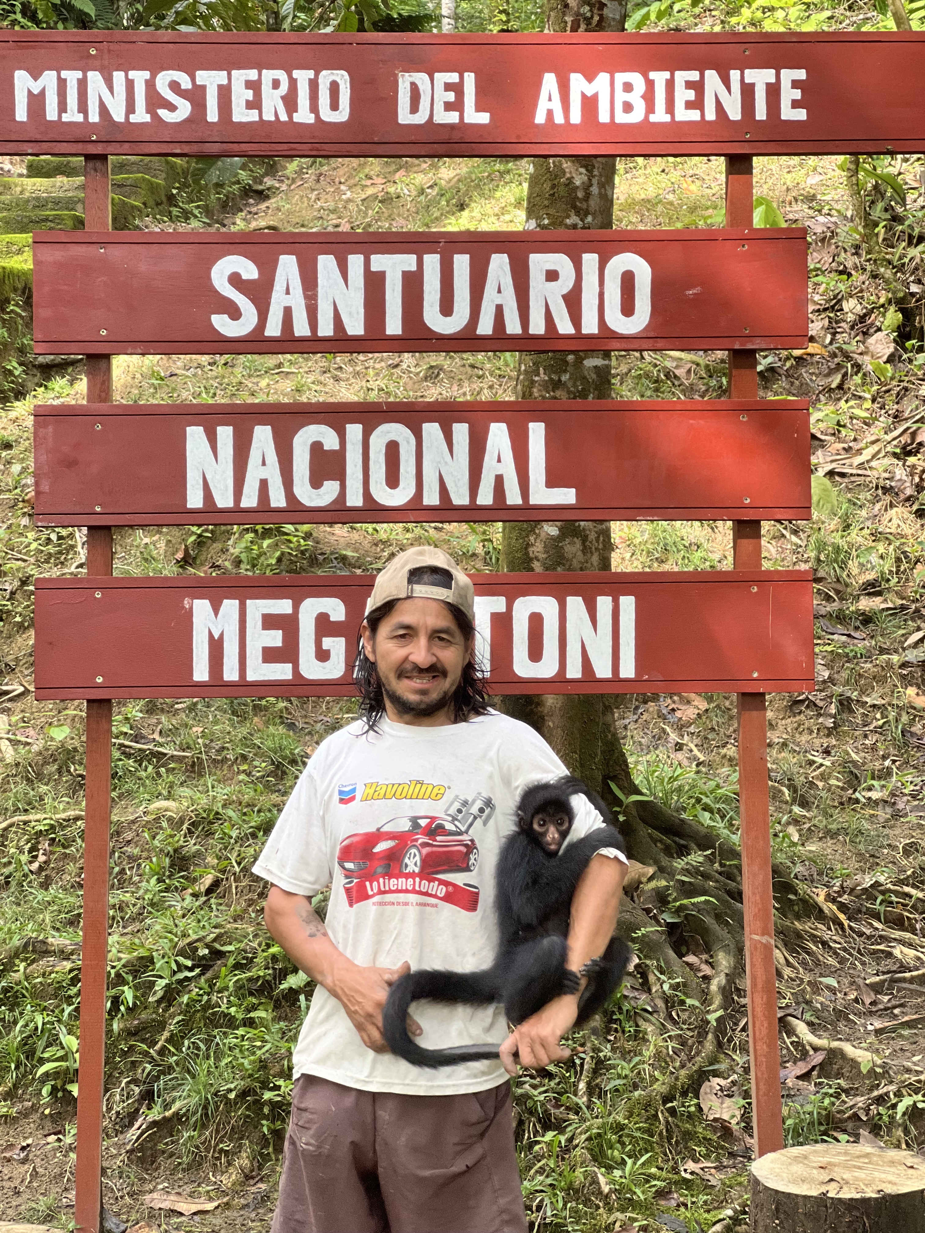 Galería del tour