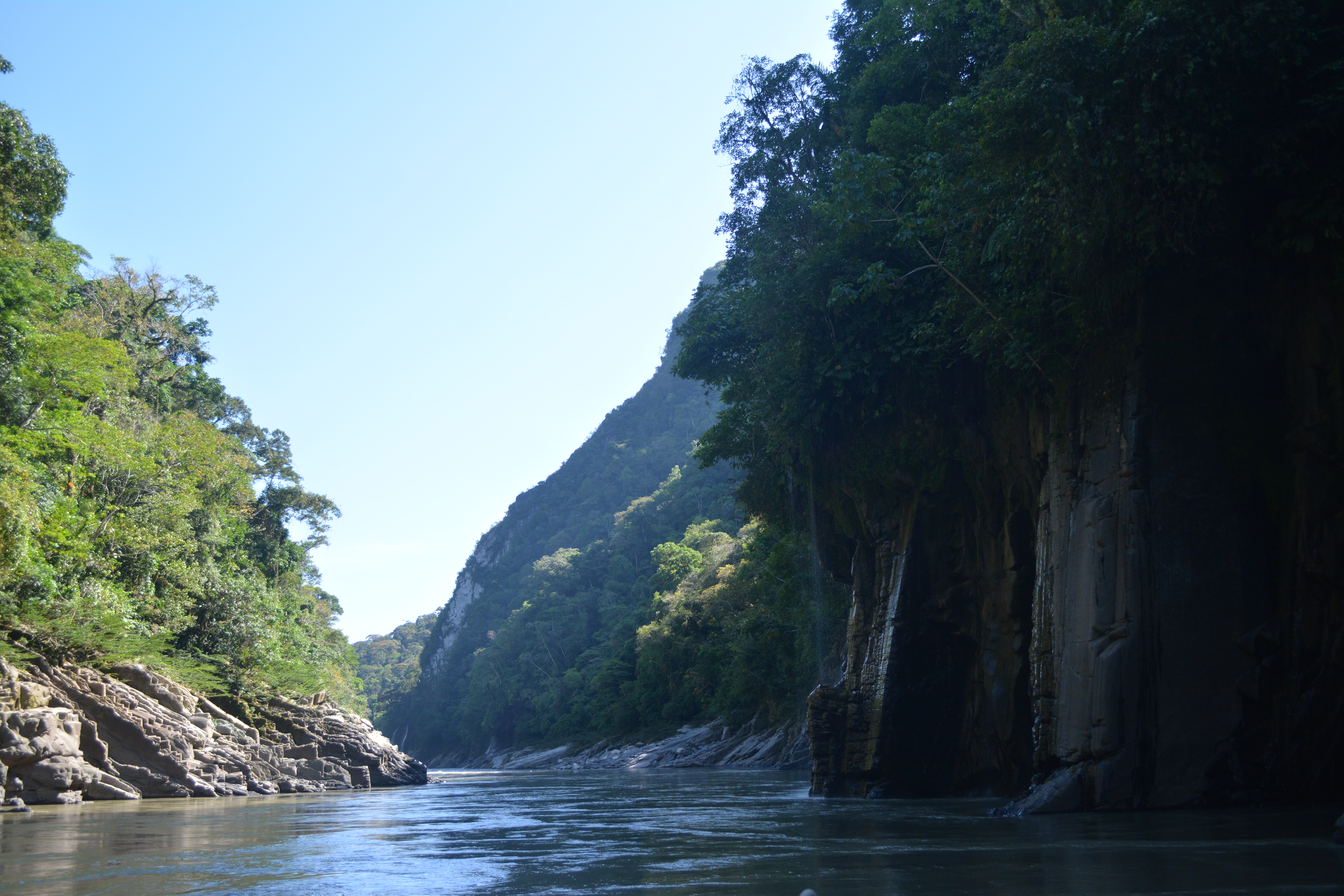 Galería del tour