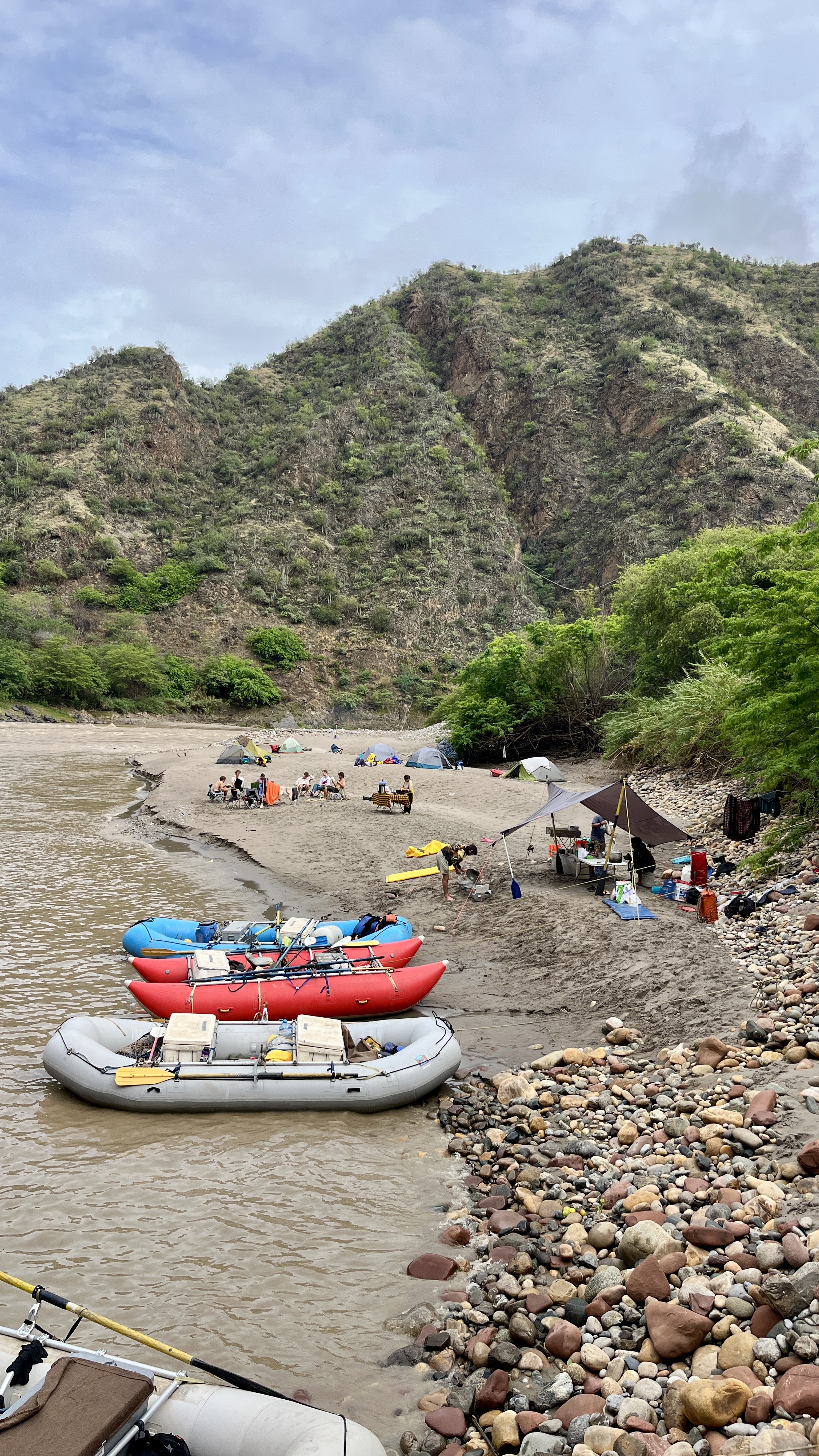Galería del tour